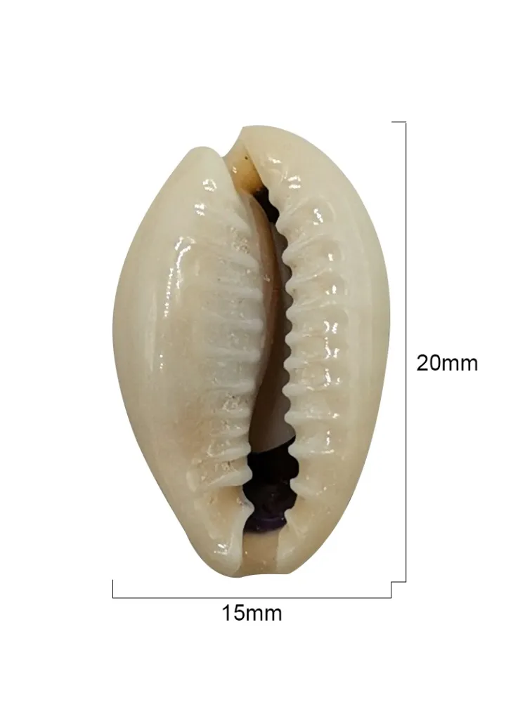 CRU. APLIQUE CONCHA ROMA 151892 20MM 50G
