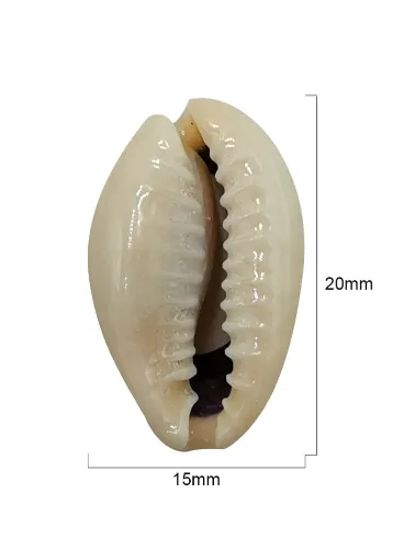 CRU. APLIQUE CONCHA ROMA 151892 20MM 50G