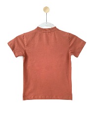 CAMISETA - FESTA NA ROÇA - MARRON 