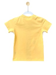 CAMISETA - FESTA NA ROÇA - AMARELO