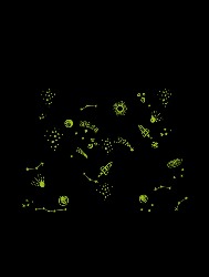 BERMUDA CADARÇO - SPACE QUE BRILHA NO ESCURO