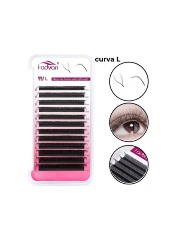 Y FADVAN L CURVATURA L