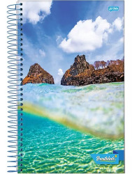CADERNO JANDAIA 12X1 240FLS BRASILIDADE CD