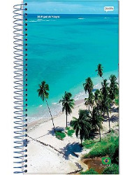 CADERNO JANDAIA 12X1 240FLS BRASILIDADE CD