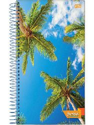CADERNO JANDAIA 12X1 240FLS BRASILIDADE CD