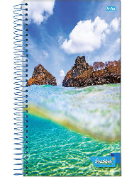 CADERNO JANDAIA 15X1 300FLS BRASILIDADE CD