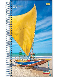 CADERNO JANDAIA 15X1 300FLS BRASILIDADE CD