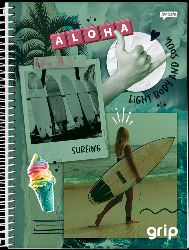 CADERNO JANDAIA 20X1 320FLS GRIP CD 68762