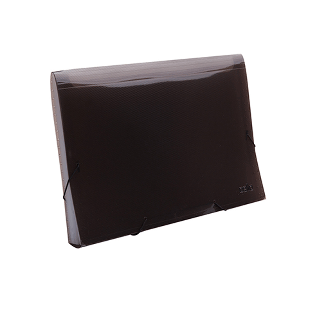 PASTA SANF DELLOLINE A-4 12 DIV.FUME