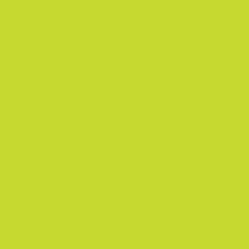 Cartolina Dupla Face 48 X 66 Verde Claro