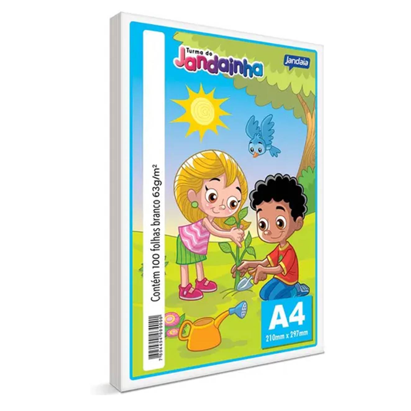 PAPEL ESCOLAR JANDAINHA A4 C/100FLS BRAN