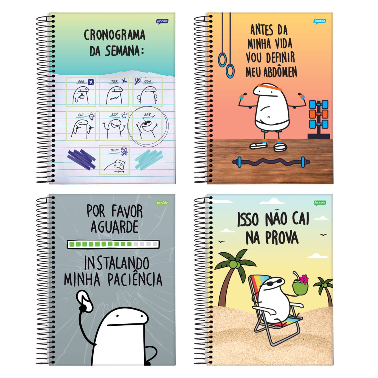 Caderno Universitário Capa Dura 15 Matérias 240 Folhas Flork Jandaia