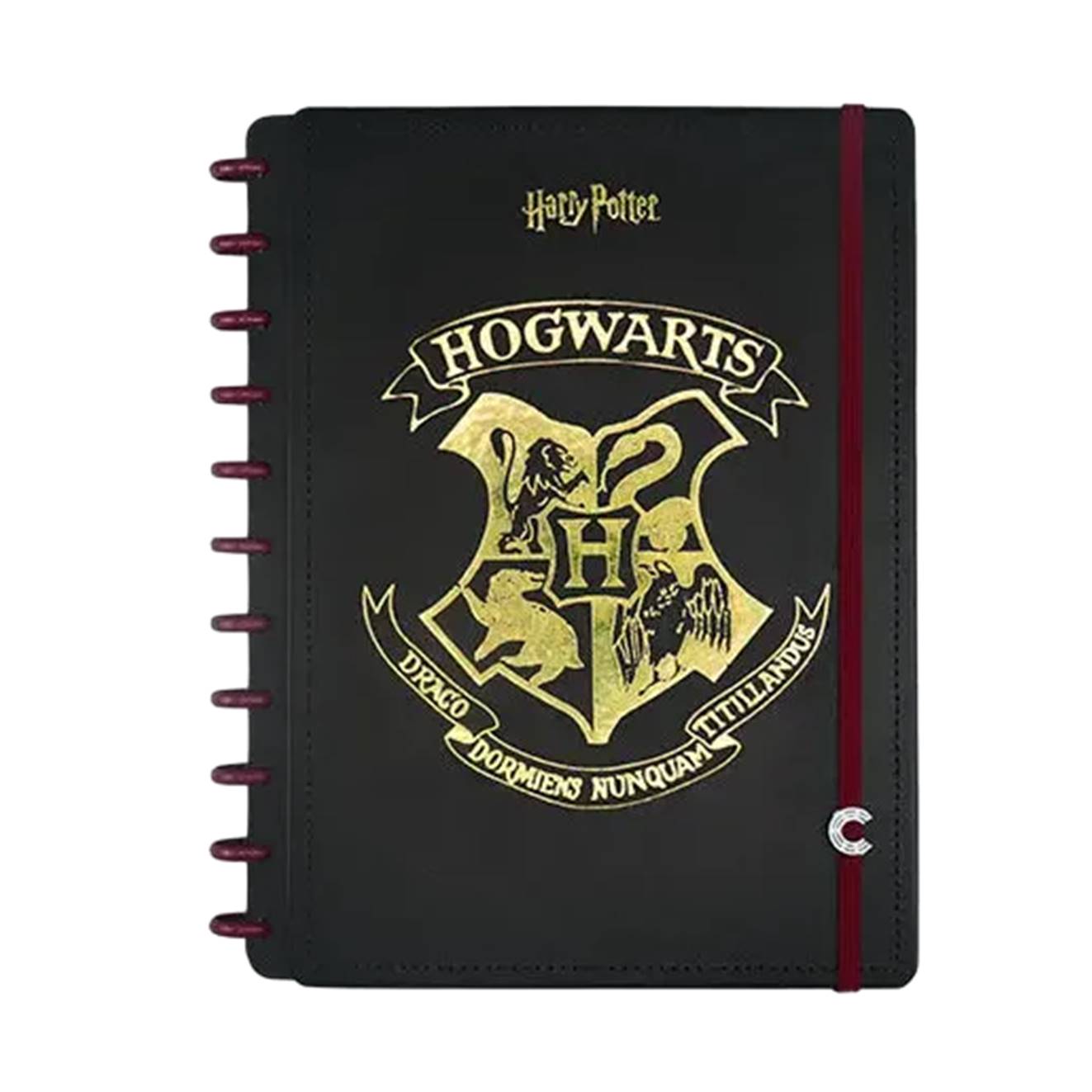 CAD.INTELIG.LIC.80FLS MED HARRY POTTER