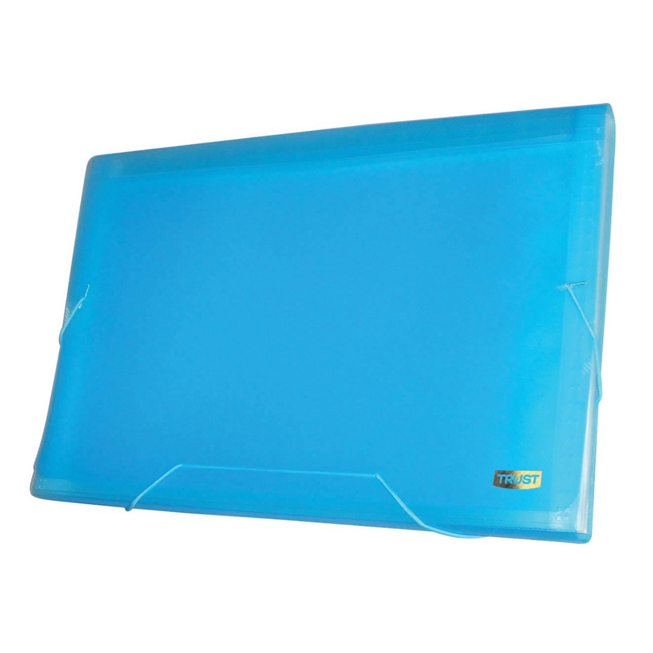 PASTA SANF TRUST A-4 12 DIV. AZUL      