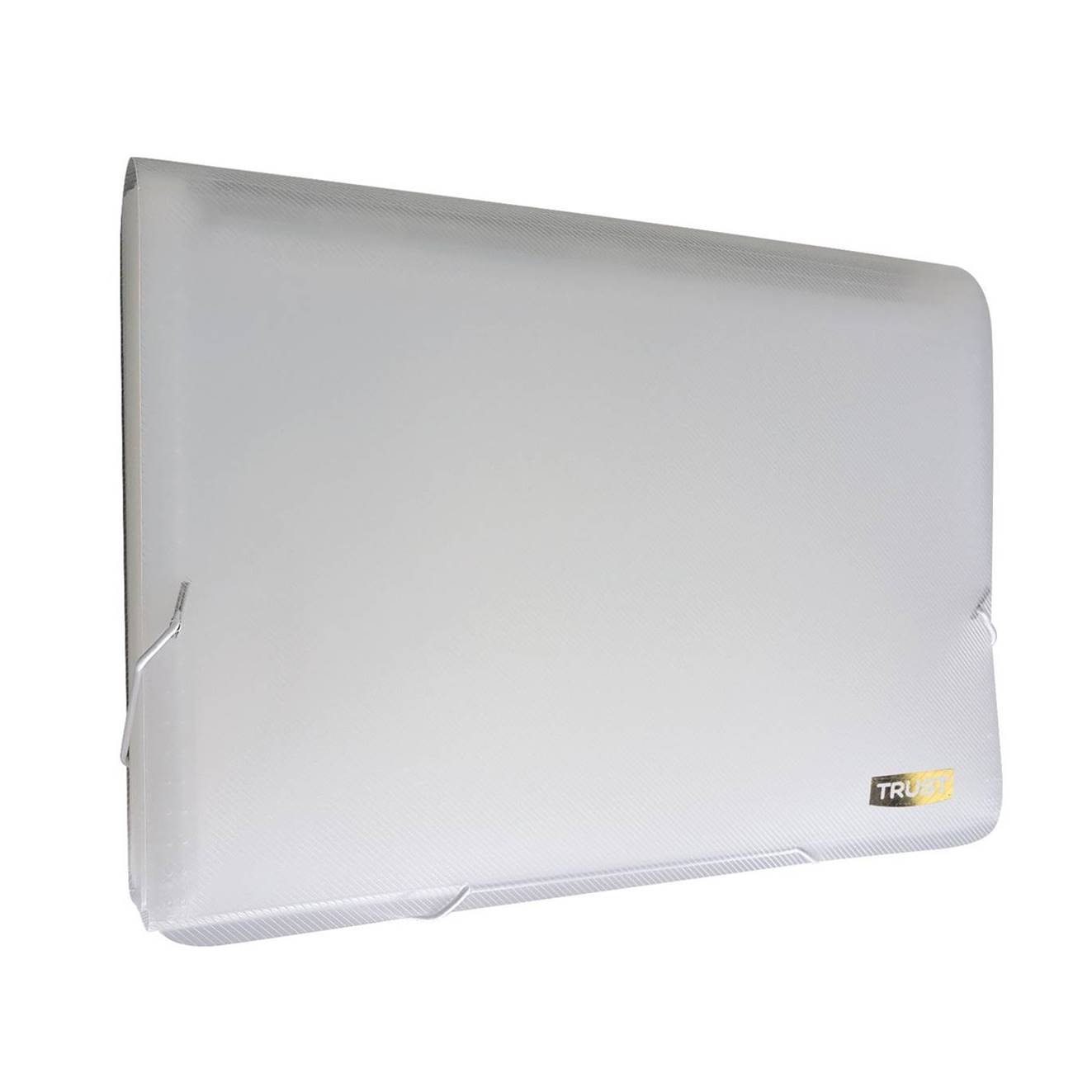 PASTA SANF TRUST A-4 31 DIV. CRISTAL