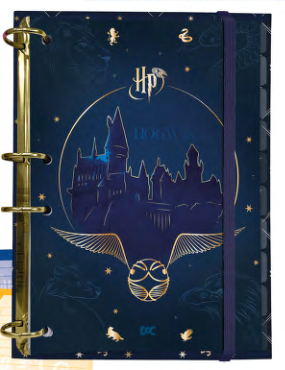 CAD.COLEG.LIC.T.FICHARIO 144FLS HARRY PO