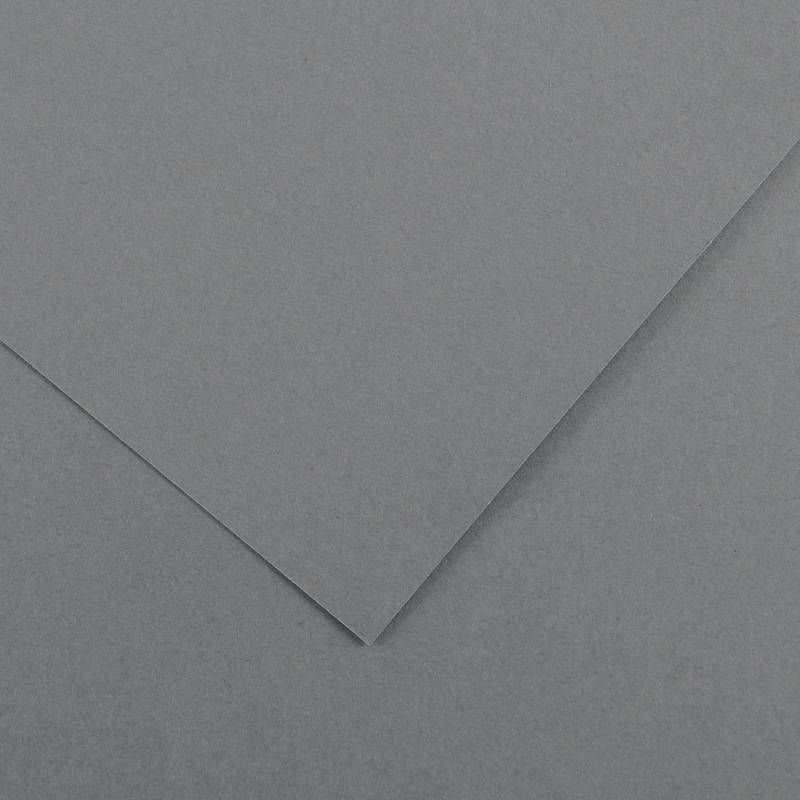 CARTOLINA VIVALDI 50X65-185G CINZA ESC