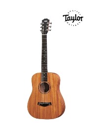 VIOLAO BT2E TAYLOR(WMS00151)