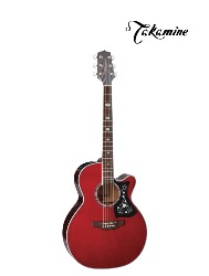VIOLAO GN-75CE WR & TK40D TAKAMINE(12915)SON