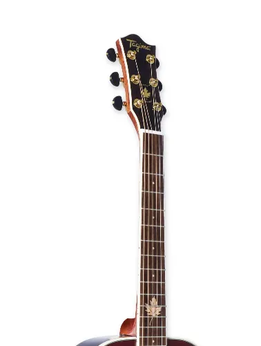 VIOLAO FERNIE CB(CHERRYBURST)EL/AC SERIE CANADA TA