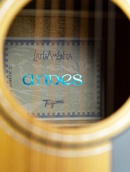VIOLÃO TAGIMA AGATHIS LATIN AMERICA ANDES NTABS