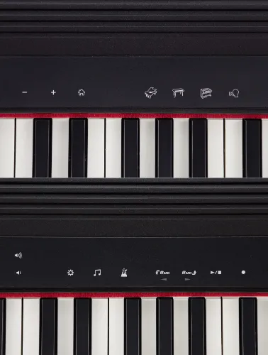 TECLADO ROLAND GO PIANO C/61 TECLAS