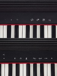 TECLADO ROLAND GO PIANO C/61 TECLAS