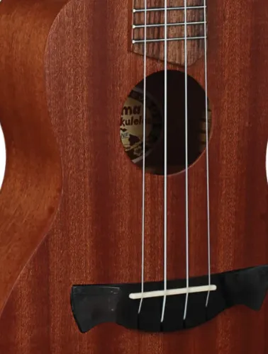 UKULELE 23-K NTS(NATURAL SATIN)AC.CORDAS NYLON TAG