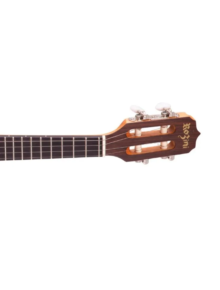 BANJO ROZINI RJ10.EL.F.LP STUDIO ELÉTRICO FOSCO L.PTO