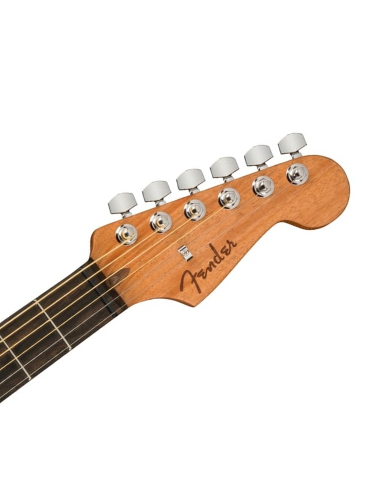 VIOLAO  ACOUS JAZMSTR OCT EB W/B FE