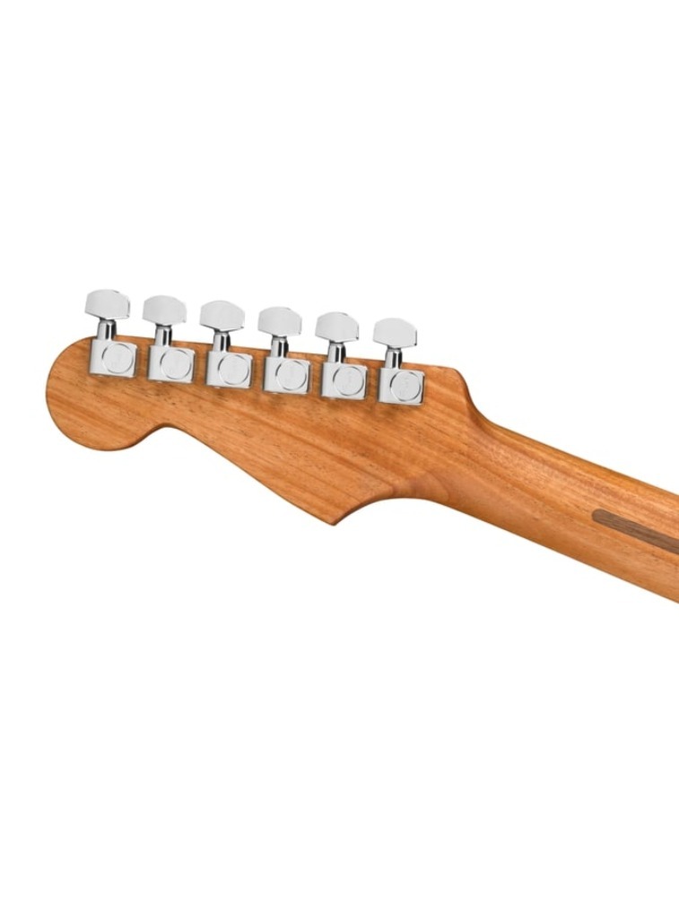 VIOLAO  ACOUS JAZMSTR OCT EB W/B FE