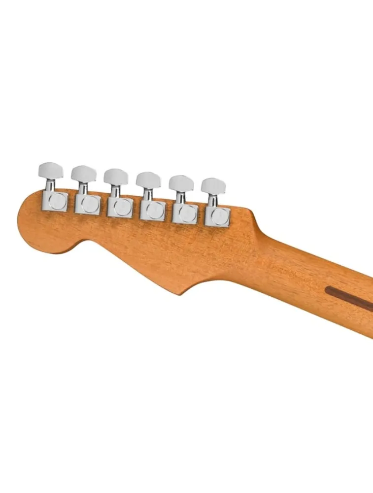 VIOLAO 0014 0972313252 ACOUS JAZMSTR TBST EB W/B F