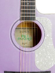 VIOLAO TAGIMA AGATHIS RIO NEGRO MILLS