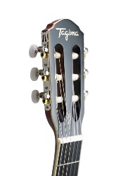 VIOLAO CLAS AGATHIS LATIN AMERICA CARTAGENA BKS TAGIMA