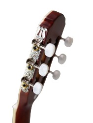 VIOLAO CLAS AGATHIS LATIN AMERICA CARTAGENA BKS TAGIMA