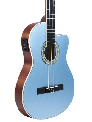 VIOLAO CLAS AGATHIS LATIN AMERICA CARTAGENA  LPBS TAGIMA