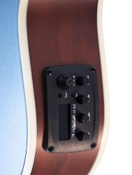 VIOLAO CLAS AGATHIS LATIN AMERICA CARTAGENA  LPBS TAGIMA