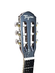 VIOLAO CLAS AGATHIS LATIN AMERICA CARTAGENA  LPBS TAGIMA