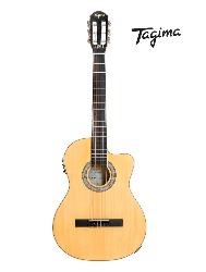 VIOLAO TAGIMA CLASSICO AGATHIS LATIN AMERERICA CARTAGENA NTABS