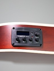 VIOLAO TAGIMA CLASSICO AGATHIS LATIN AMERERICA CARTAGENA NTABS