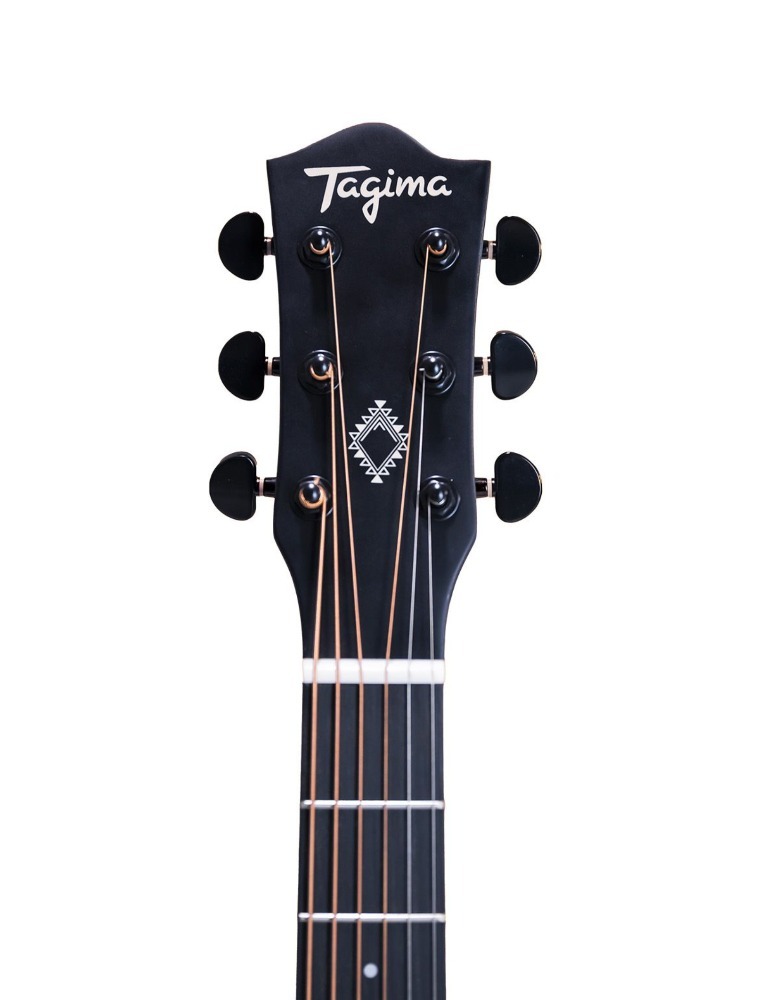 VIOLAO AGATHIS LATIN AMERICA ANDES MDSVS TAGIMA