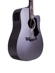 VIOLAO AGATHIS LATIN AMERICA ANDES MDSVS TAGIMA