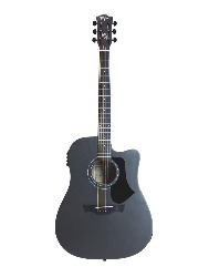 VIOLAO AGATHIS LATIN AMERICA ANDES MDSVS TAGIMA