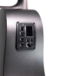 VIOLAO AGATHIS LATIN AMERICA ANDES MDSVS TAGIMA