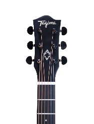 VIOLAO AGATHIS LATIN AMERICA ANDES MDSVS TAGIMA