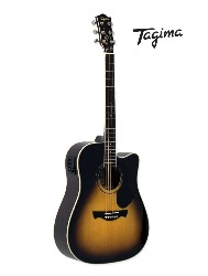 VIOLAO AGATHIS LATIN AMERICA ANDES VSB TAGIMA