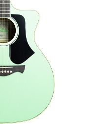 VIOLAO AGATHIS LATIN AMERICA RIO NEGRO SGS TAGIMA