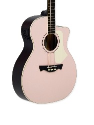 VIOLAO AGATHIS LATIN AMERICA RIO NEGRO SHPKS TAGIMA