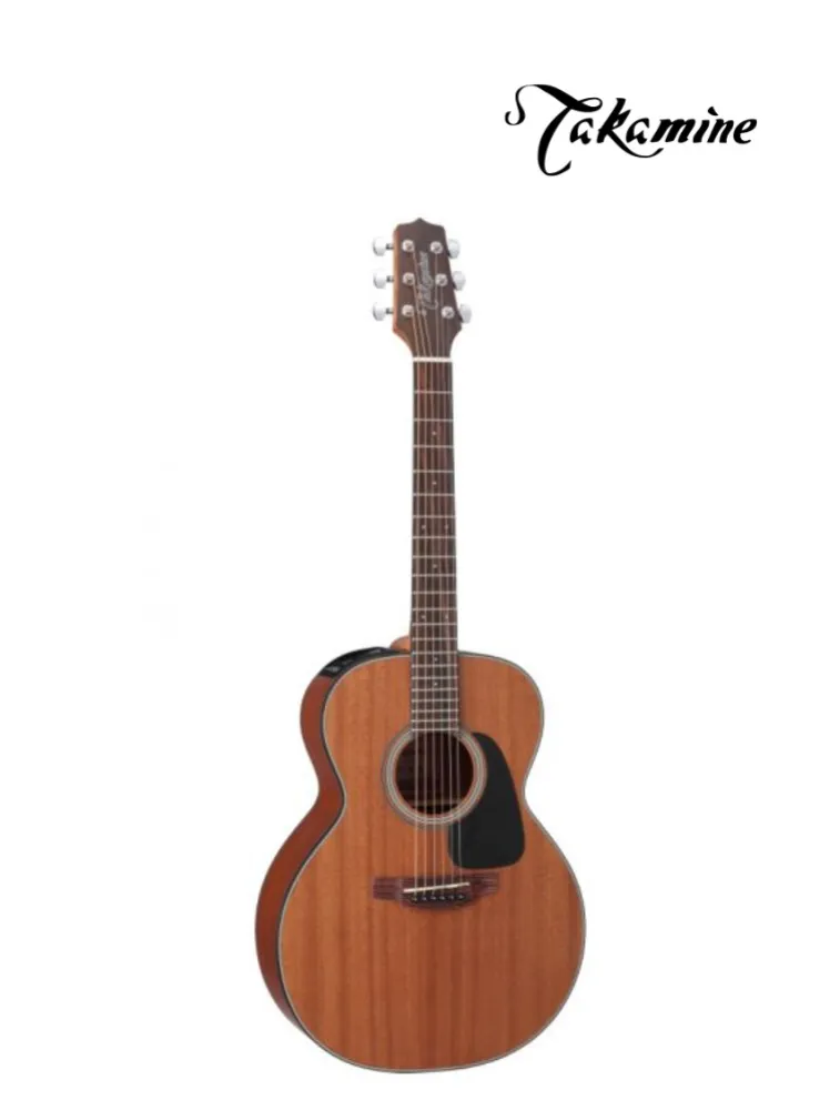 VIOLAO GX-11ME MGS(NS)& TP4T C/CAPA TAKAMINE(11231