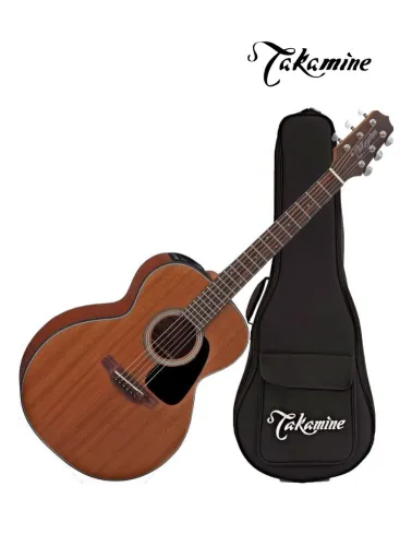 VIOLAO GX-11ME MGS(NS)& TP4T C/CAPA TAKAMINE(11231